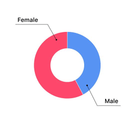 Instagram Gender of Followers